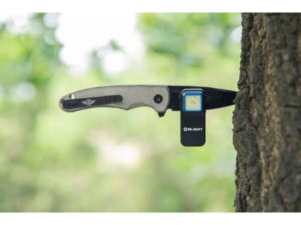 Olight Oclip 300 Lumen 70m EDC Clip Light