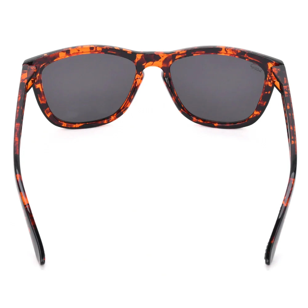 Wombat Stroke 2.0 - Tortoise Shell. Glossy