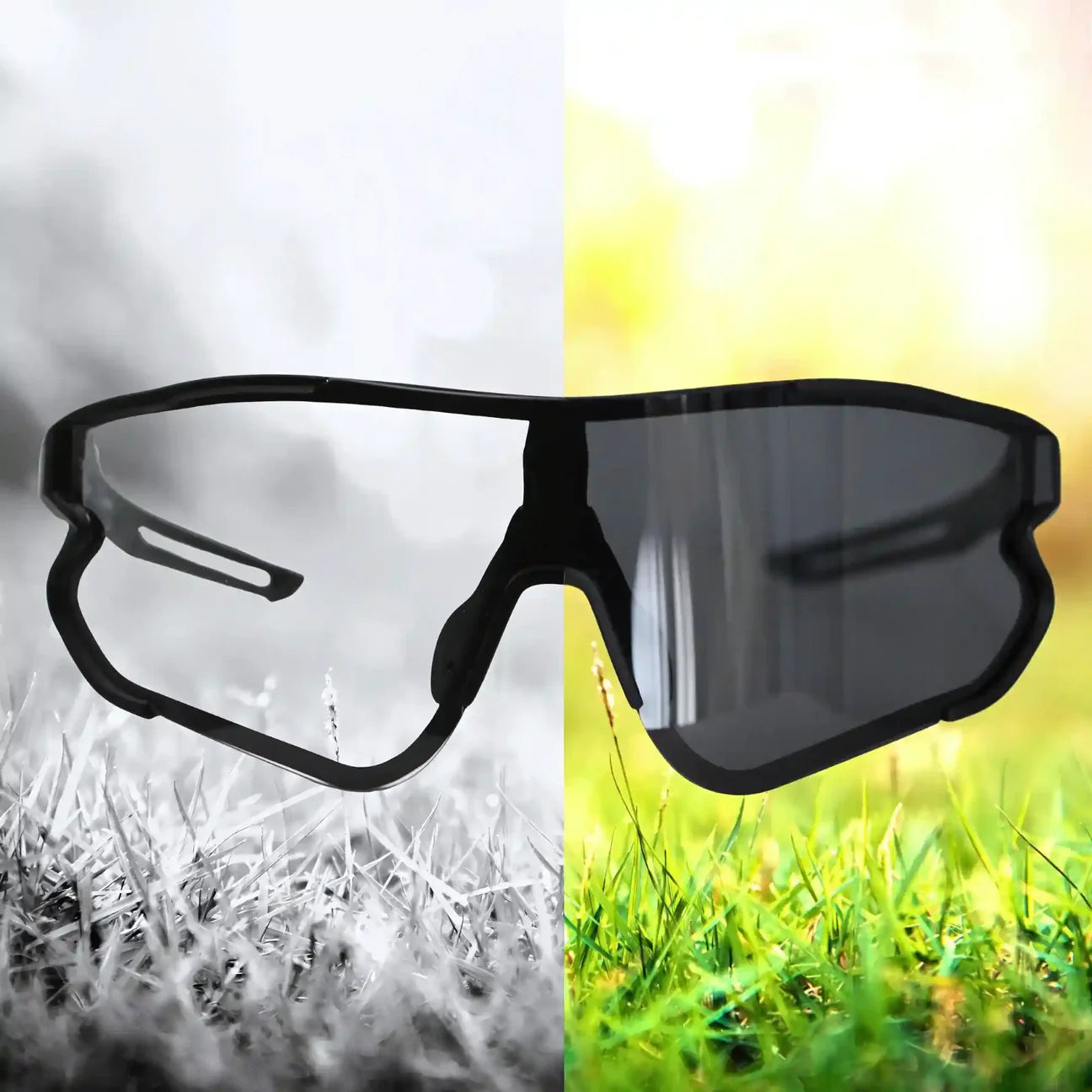 Wombat Glitch 2.0 Photochromic (Transparent & Black frame)